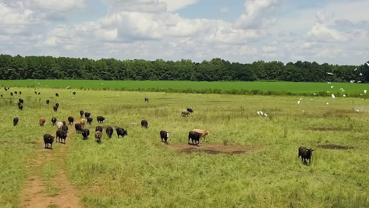 5 ON YOUR SIDE: Regenerative agriculture — St. Cloud Health news